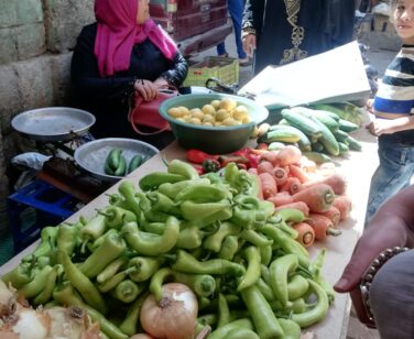 “Point of Light” Lights Basma’s Life: The Victim of Debts and Organ Brokers: